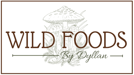 Wild Foods By Dyllan