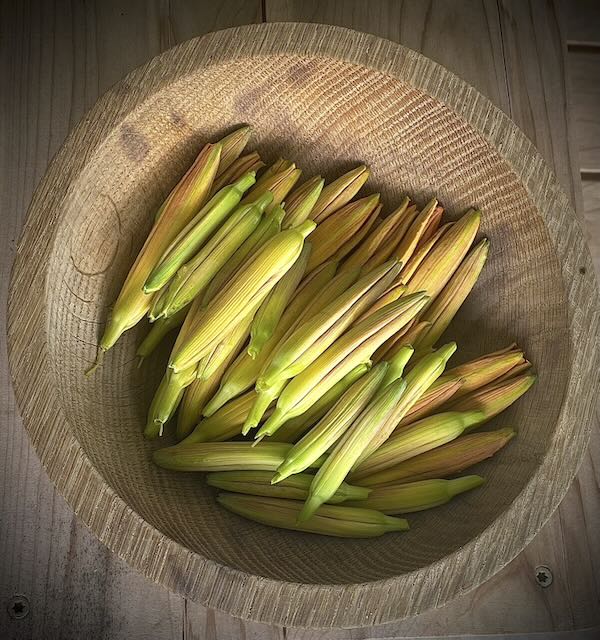 Pickled Daylily Buds